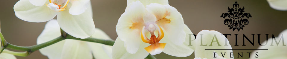 Platinum Events - Flower arrangements Platinum Events - Flower arrangements