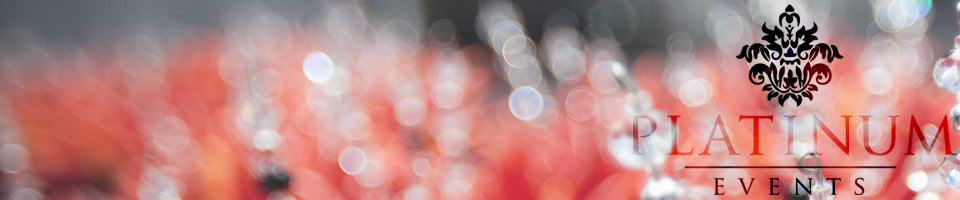 Platinum Events - Decor Platinum Events - Decor